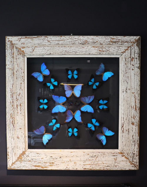 FRAME WITH BUTTERFLIES